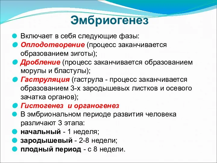 Эмбриогенез Включает в себя следующие фазы: Оплодотворение (процесс заканчивается образованием зиготы);