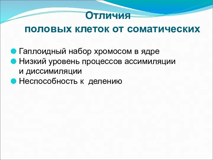 Отличия половых клеток от соматических Гаплоидный набор хромосом в ядре Низкий