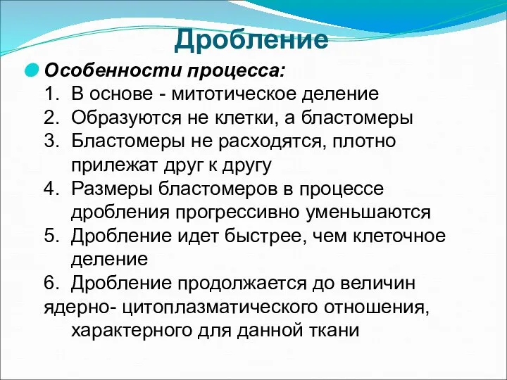 Дробление Особенности процесса: 1. В основе - митотическое деление 2. Образуются