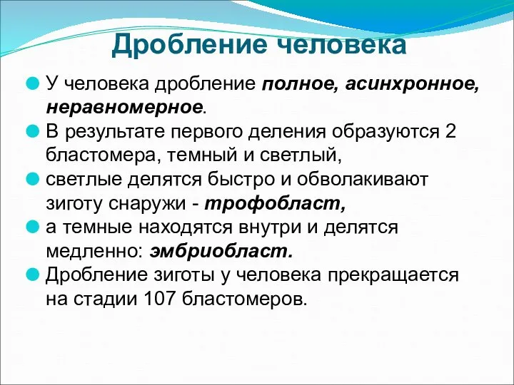 Дробление человека У человека дробление полное, асинхронное, неравномерное. В результате первого