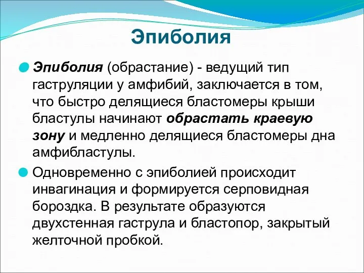 Эпиболия Эпиболия (обрастание) - ведущий тип гаструляции у амфибий, заключается в