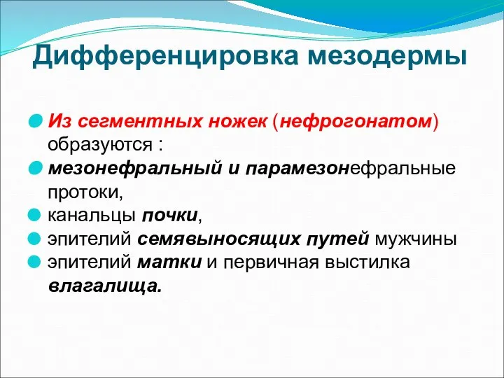 Дифференцировка мезодермы Из сегментных ножек (нефрогонатом) образуются : мезонефральный и парамезонефральные