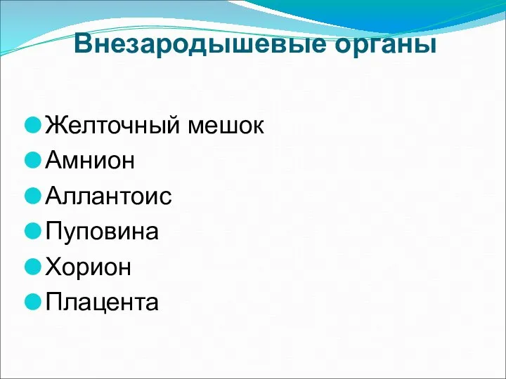 Внезародышевые органы Желточный мешок Амнион Аллантоис Пуповина Хорион Плацента