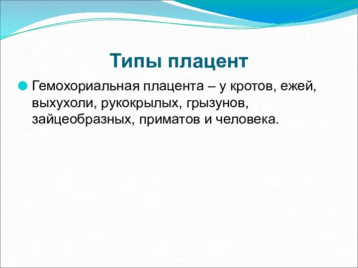 Типы плацент Гемохориальная плацента – у кротов, ежей, выхухоли, рукокрылых, грызунов, зайцеобразных, приматов и человека.