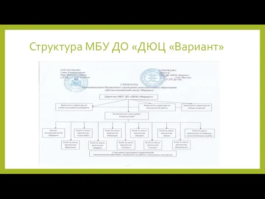 Структура МБУ ДО «ДЮЦ «Вариант»