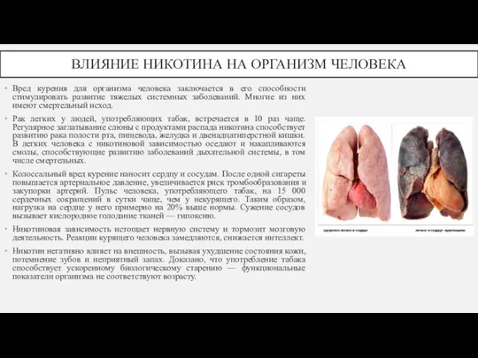 ВЛИЯНИЕ НИКОТИНА НА ОРГАНИЗМ ЧЕЛОВЕКА Вред курения для организма человека заключается