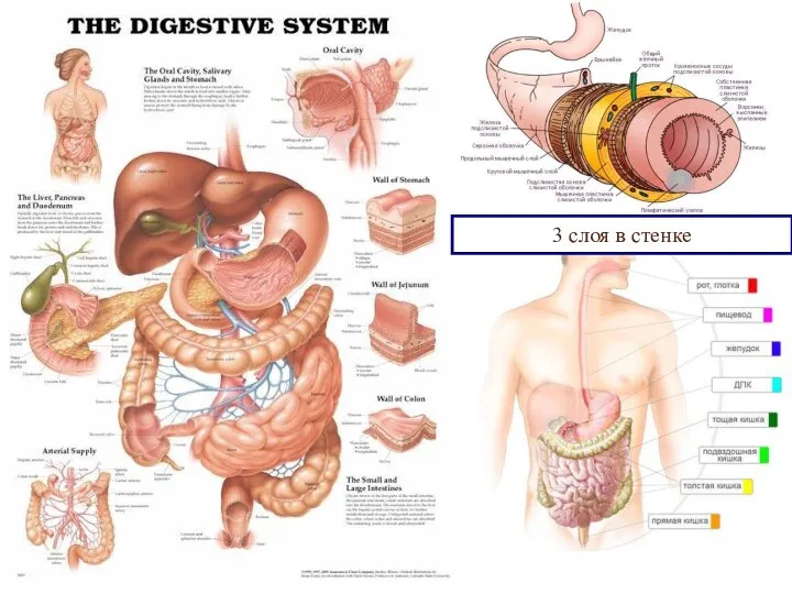 3 слоя в стенке