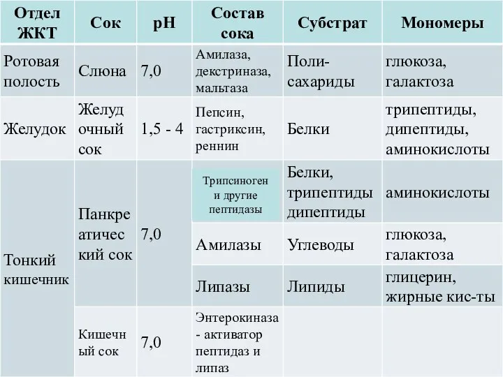 Трипсиноген и другие пептидазы