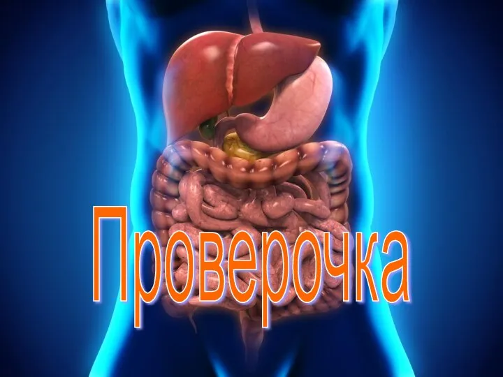 Проверочка