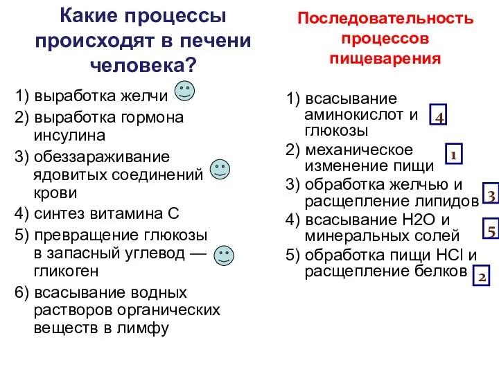 Какие процессы происходят в печени человека? 1) выработка желчи 2) выработка