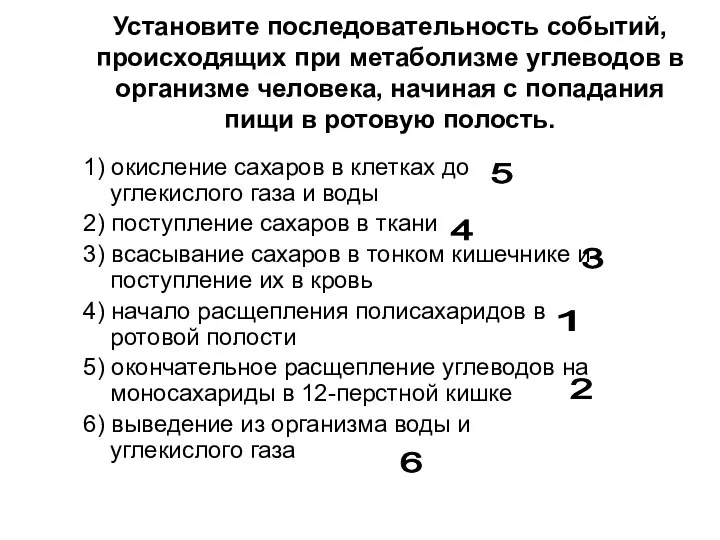 Установите последовательность событий, происходящих при метаболизме углеводов в организме человека, начиная