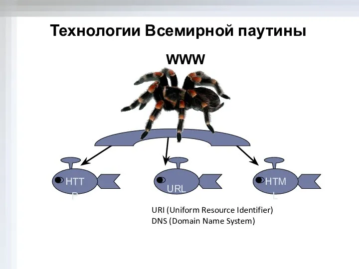 Технологии Всемирной паутины WWW URI (Uniform Resource Identifier) DNS (Domain Name System)