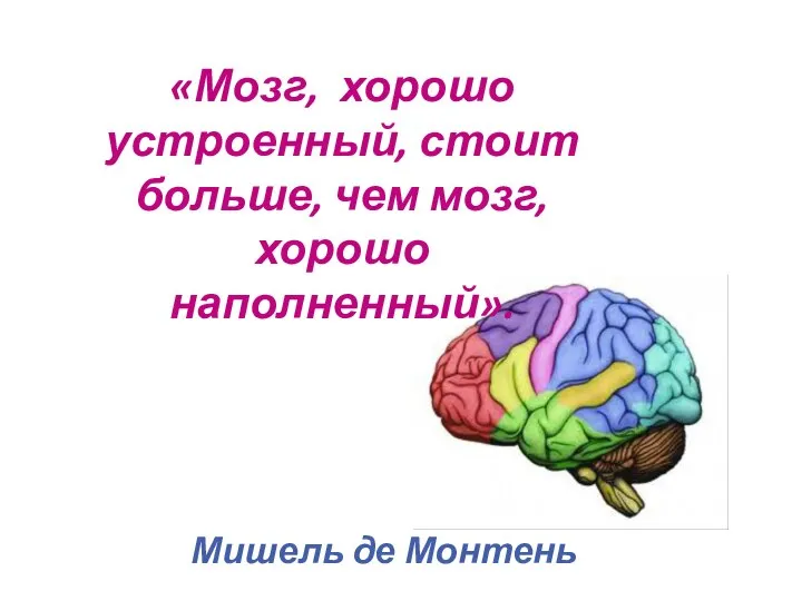 «Мозг, хорошо устроенный, стоит больше, чем мозг, хорошо наполненный». Мишель де Монтень