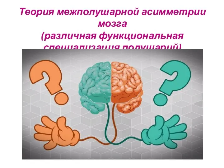 Теория межполушарной асимметрии мозга (различная функциональная специализация полушарий)