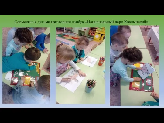Совместно с детьми изготовили лэпбук «Национальный парк Хвалынский».