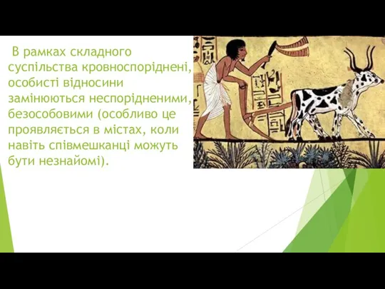 В рамках складного суспільства кровноспоріднені, особисті відносини замінюються неспорідненими, безособовими (особливо