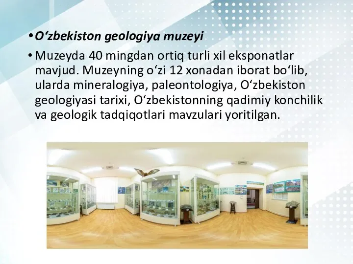 O‘zbekiston geologiya muzeyi Muzeyda 40 mingdan ortiq turli xil eksponatlar mavjud.