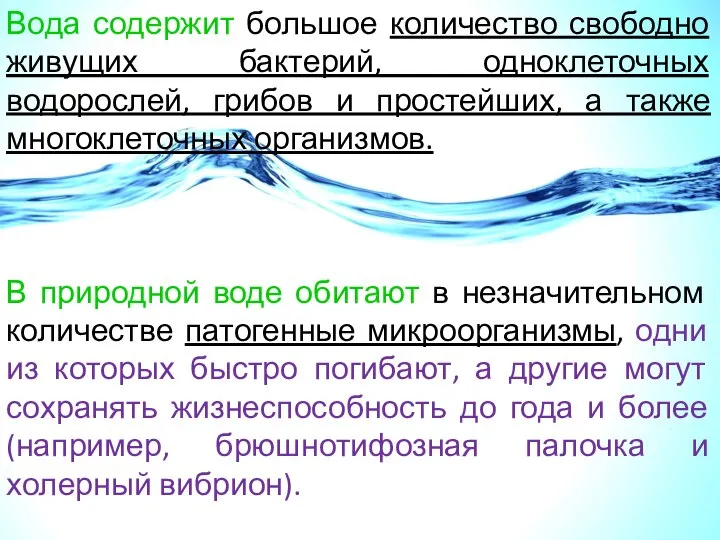 Вода содержит большое количество свободно живущих бактерий, одноклеточных водорослей, грибов и