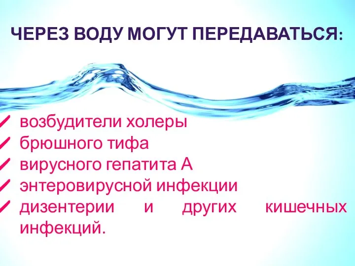 ЧЕРЕЗ ВОДУ МОГУТ ПЕРЕДАВАТЬСЯ: возбудители холеры брюшного тифа вирусного гепатита А