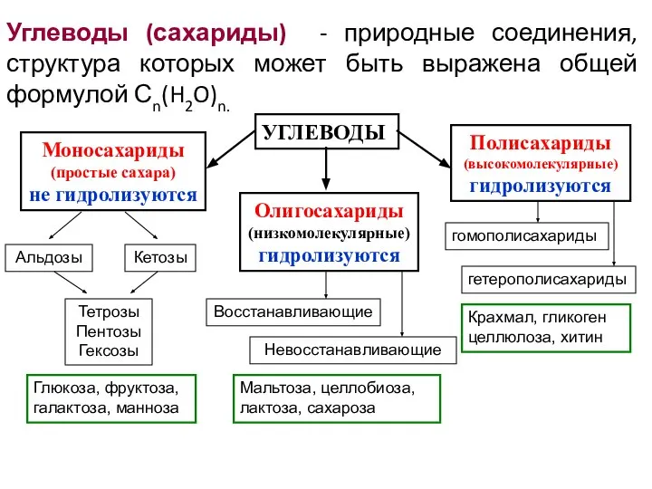 Углеводы (сахариды) - природные соединения, структура которых может быть выражена общей формулой Сn(H2O)n.