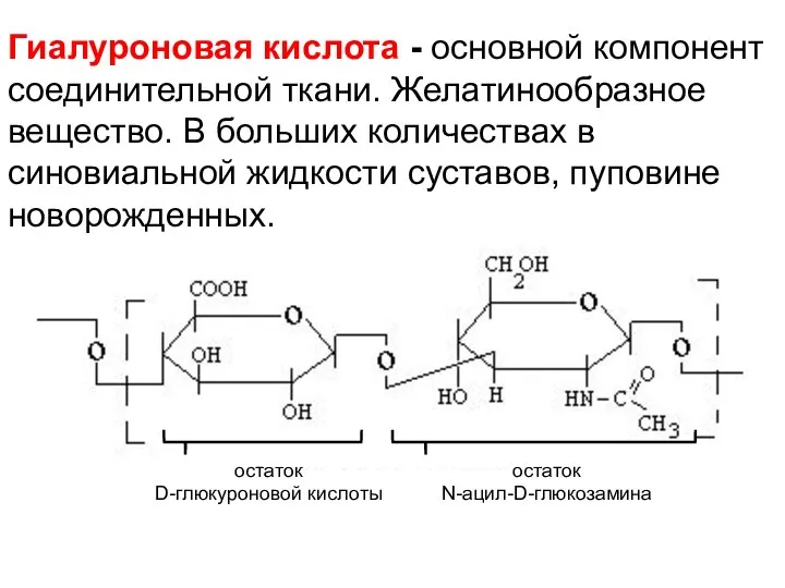 Гиалуроновая кислота - основной компонент соединительной ткани. Желатинообразное вещество. В больших