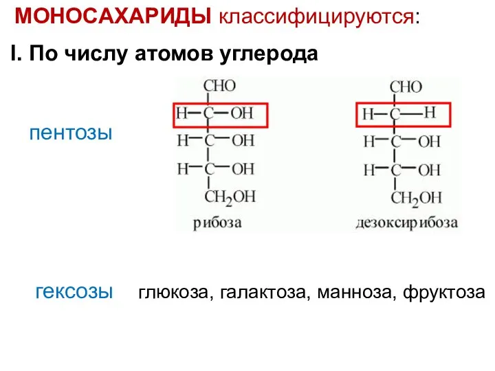 МОНОСАХАРИДЫ классифицируются: I. По числу атомов углерода пентозы гексозы глюкоза, галактоза, манноза, фруктоза