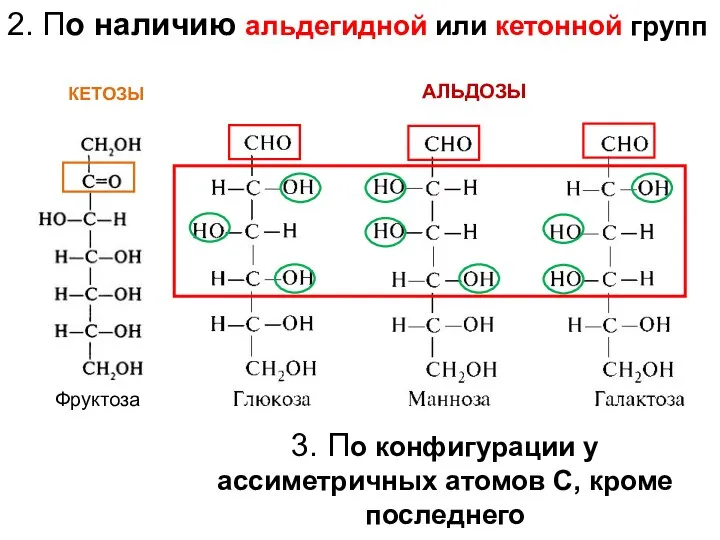 АЛЬДОЗЫ КЕТОЗЫ 2. По наличию альдегидной или кетонной групп 3. По