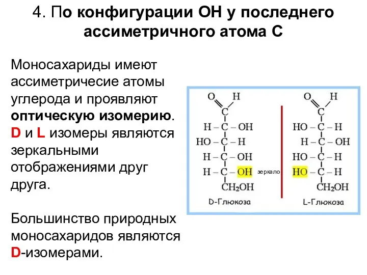 Моносахариды имеют ассиметричесие атомы углерода и проявляют оптическую изомерию. D и
