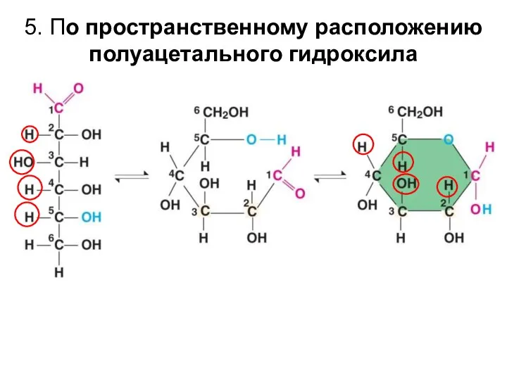 5. По пространственному расположению полуацетального гидроксила