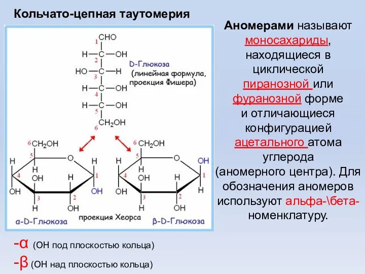 Аномерами называют моносахариды, находящиеся в циклической пиранозной или фуранозной форме и