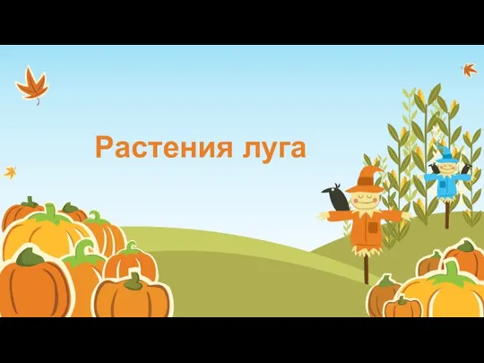 Растения луга