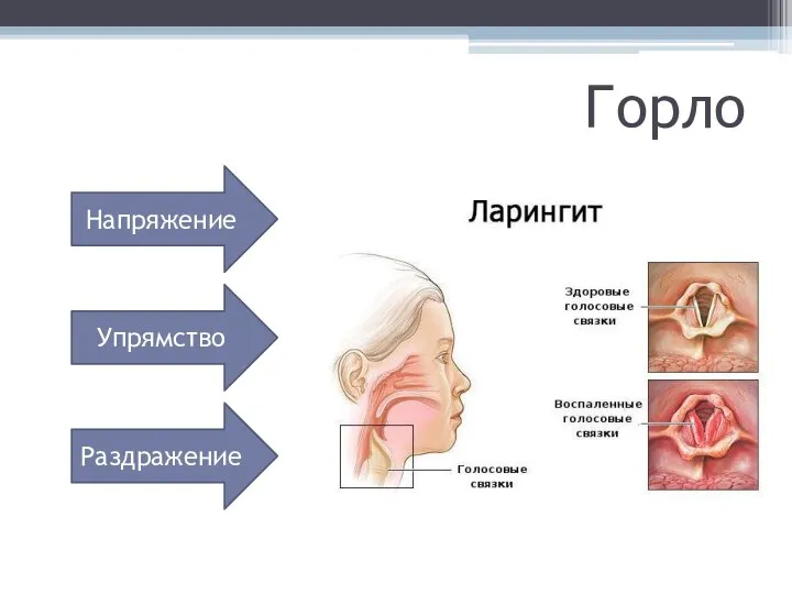 Горло Напряжение Упрямство Раздражение