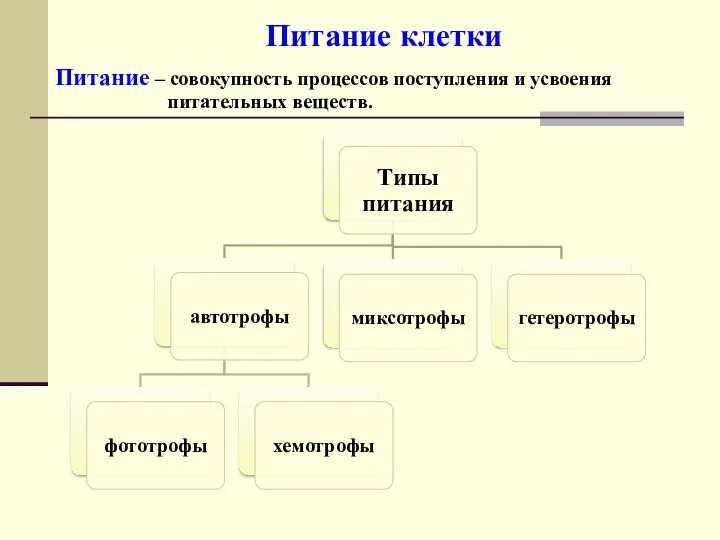 Питание клетки Питание – совокупность процессов поступления и усвоения питательных веществ.