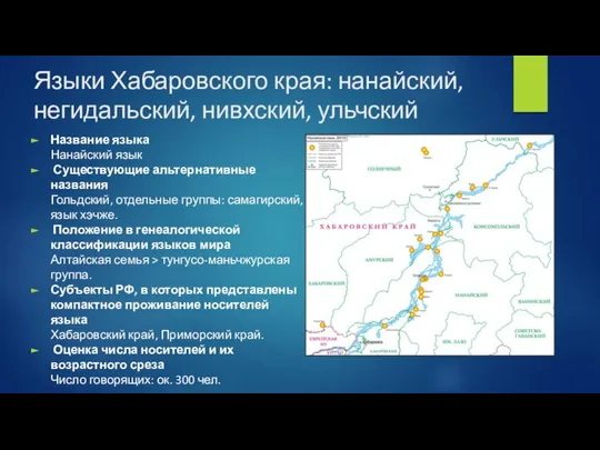 Языки Хабаровского края: нанайский, негидальский, нивхский, ульчский Название языка Нанайский язык