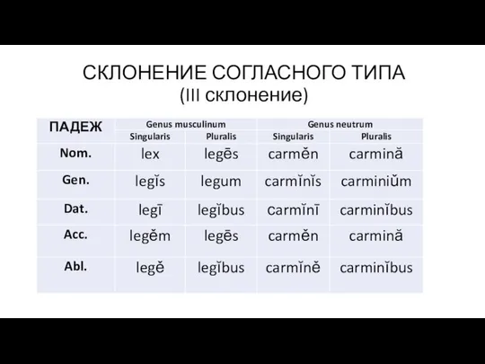 СКЛОНЕНИЕ СОГЛАСНОГО ТИПА (III склонение)