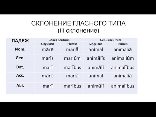 СКЛОНЕНИЕ ГЛАСНОГО ТИПА (III склонение)