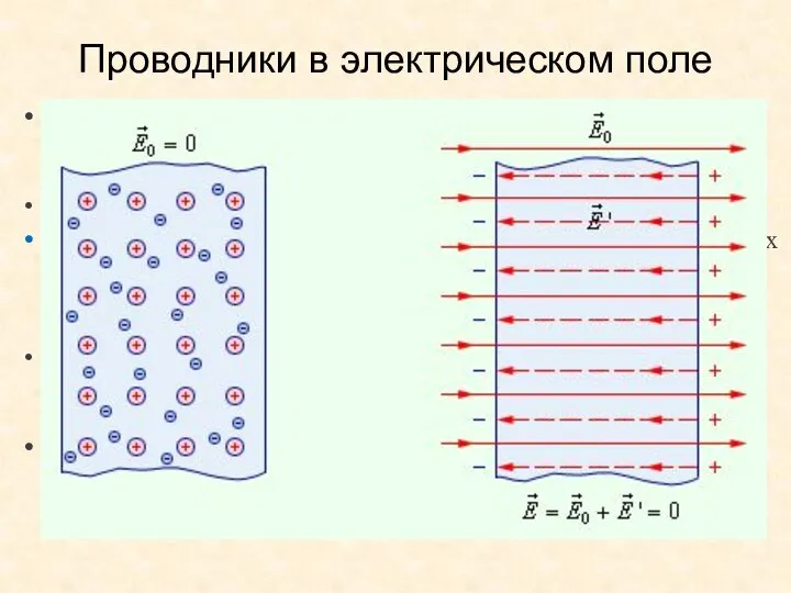 Проводники в электрическом поле Основная особенность проводников – наличие свободных зарядов