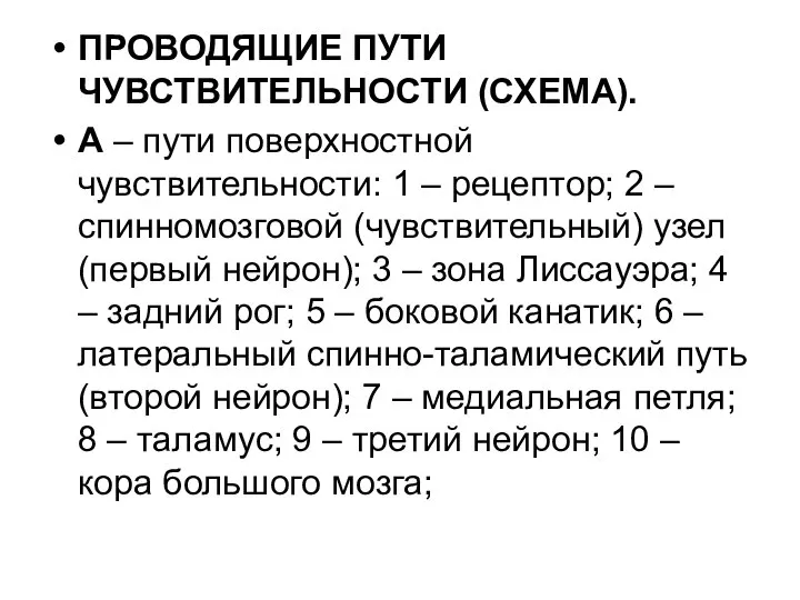 ПРОВОДЯЩИЕ ПУТИ ЧУВСТВИТЕЛЬНОСТИ (СХЕМА). А – пути поверхностной чувствительности: 1 –