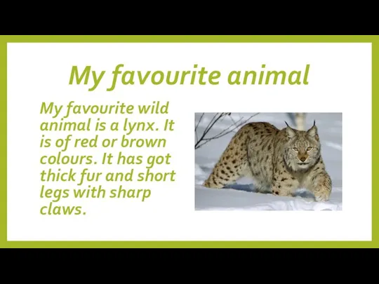 My favourite animal My favourite wild animal is a lynx. It