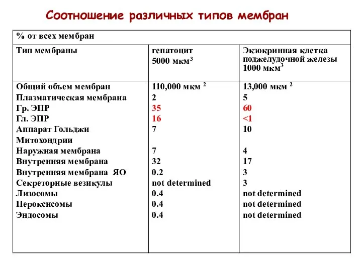 Соотношение различных типов мембран