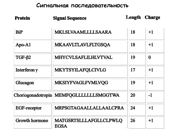 Сигнальная последовательность