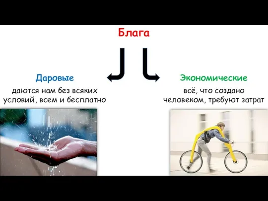 Блага Даровые даются нам без всяких условий, всем и бесплатно Экономические