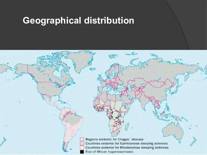 Geographical distribution