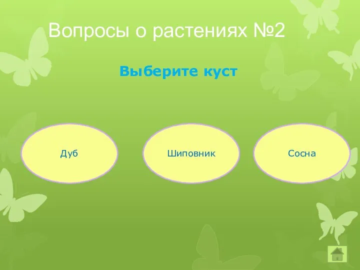 Вопросы о растениях №2 Выберите куст Дуб Сосна Шиповник