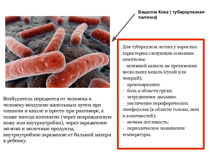 Возбудитель передается от человека к человеку воздушно-капельным путем при чихании и