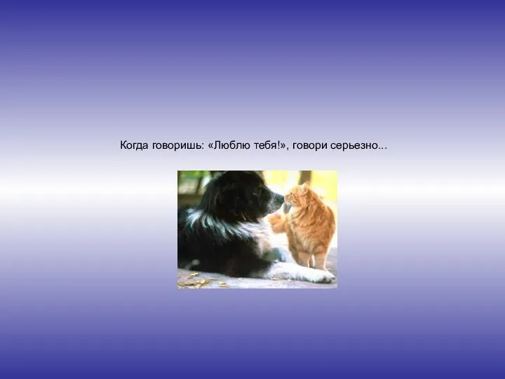 Когда говоришь: «Люблю тебя!», говори серьезно...