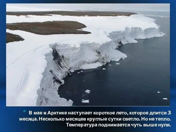 В мае в Арктике наступает короткое лето, которое длится 3 месяца.