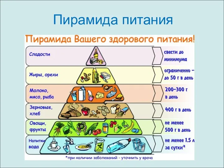 Пирамида питания