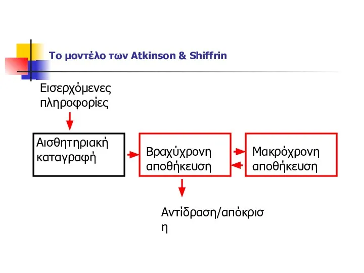 Το μοντέλο των Atkinson & Shiffrin Αισθητηριακή καταγραφή Εισερχόμενες πληροφορίες Βραχύχρονη αποθήκευση Μακρόχρονη αποθήκευση Αντίδραση/απόκριση