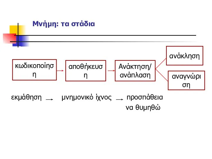 Μνήμη: τα στάδια εκμάθηση μνημονικό ίχνος προσπάθεια να θυμηθώ κωδικοποίηση αποθήκευση Ανάκτηση/ ανάπλαση ανάκληση αναγνώριση